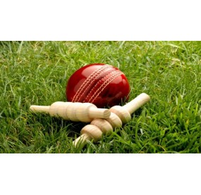 cricketbowl